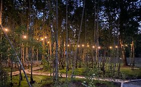 Boker Tov Pucon