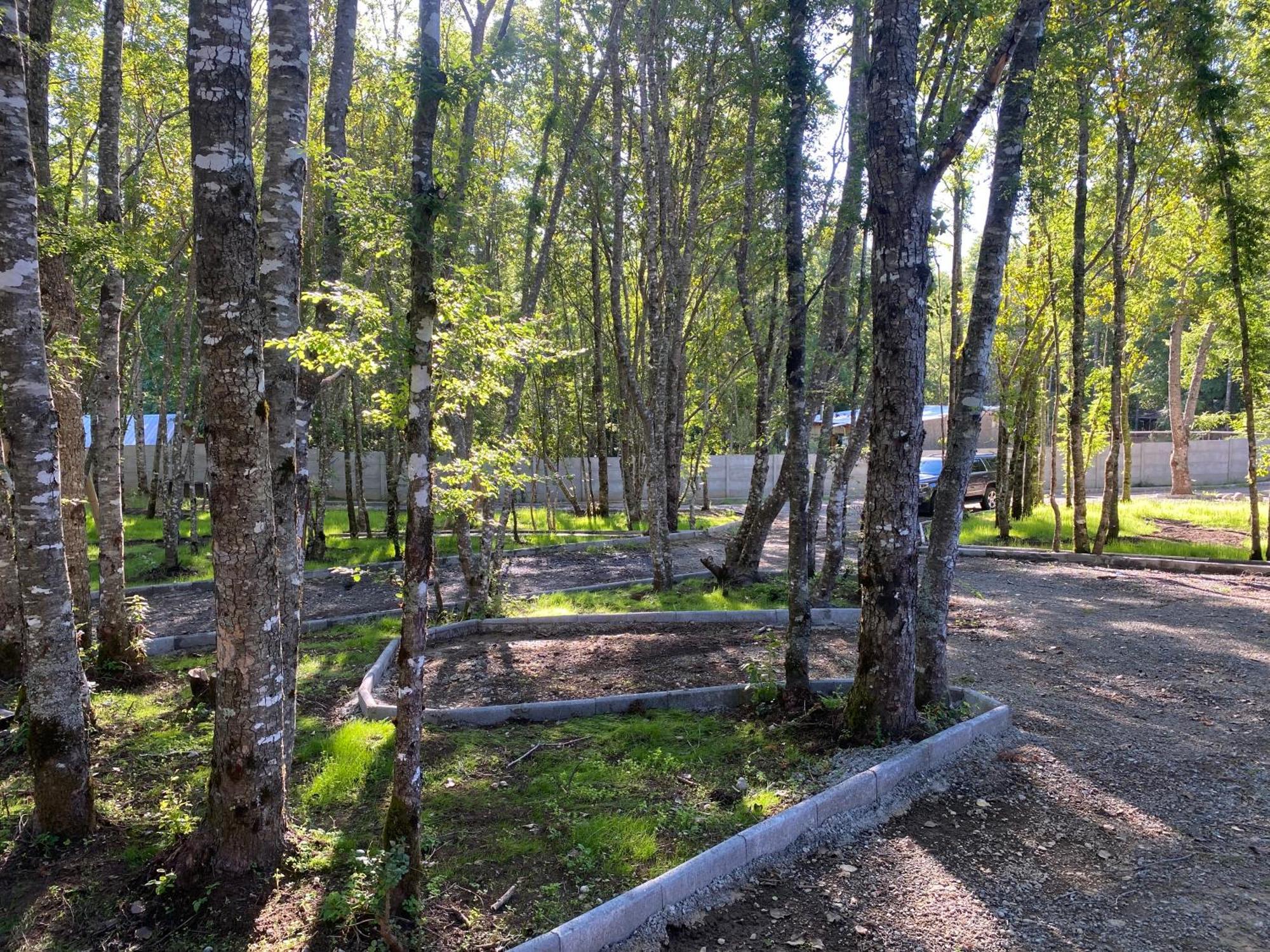 Boker Tov Pucon Hotell Exteriör bild