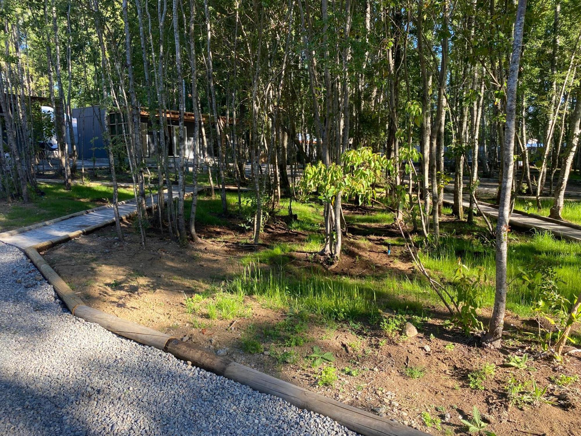 Boker Tov Pucon Hotell Exteriör bild