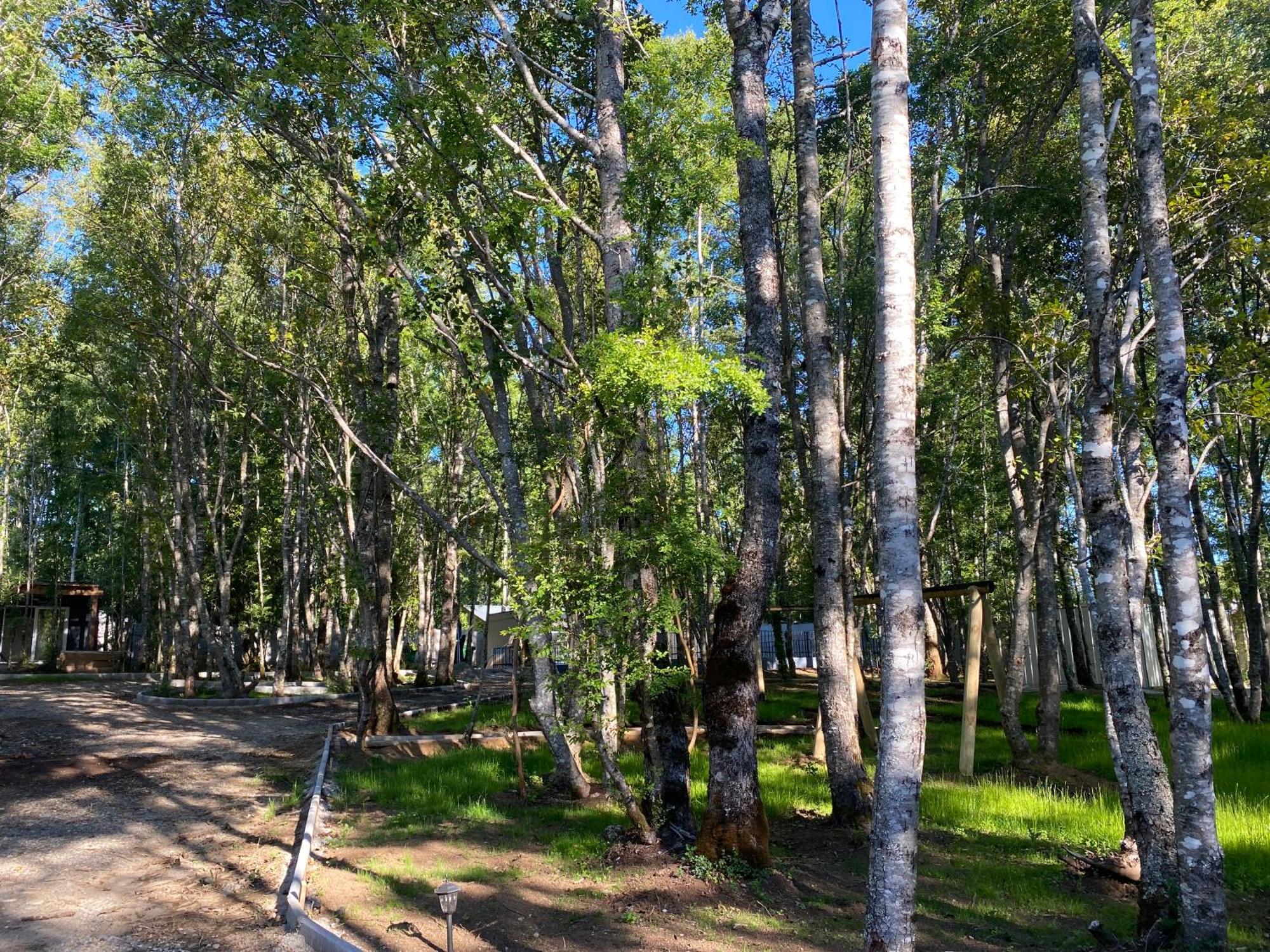 Boker Tov Pucon Hotell Exteriör bild