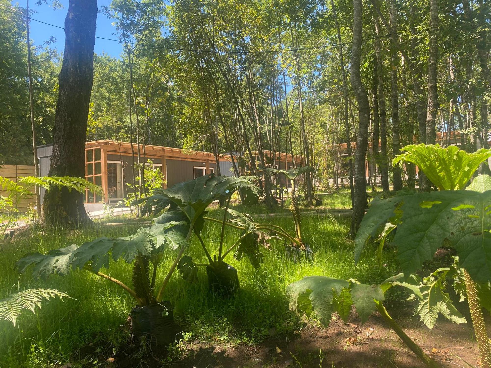 Boker Tov Pucon Hotell Exteriör bild