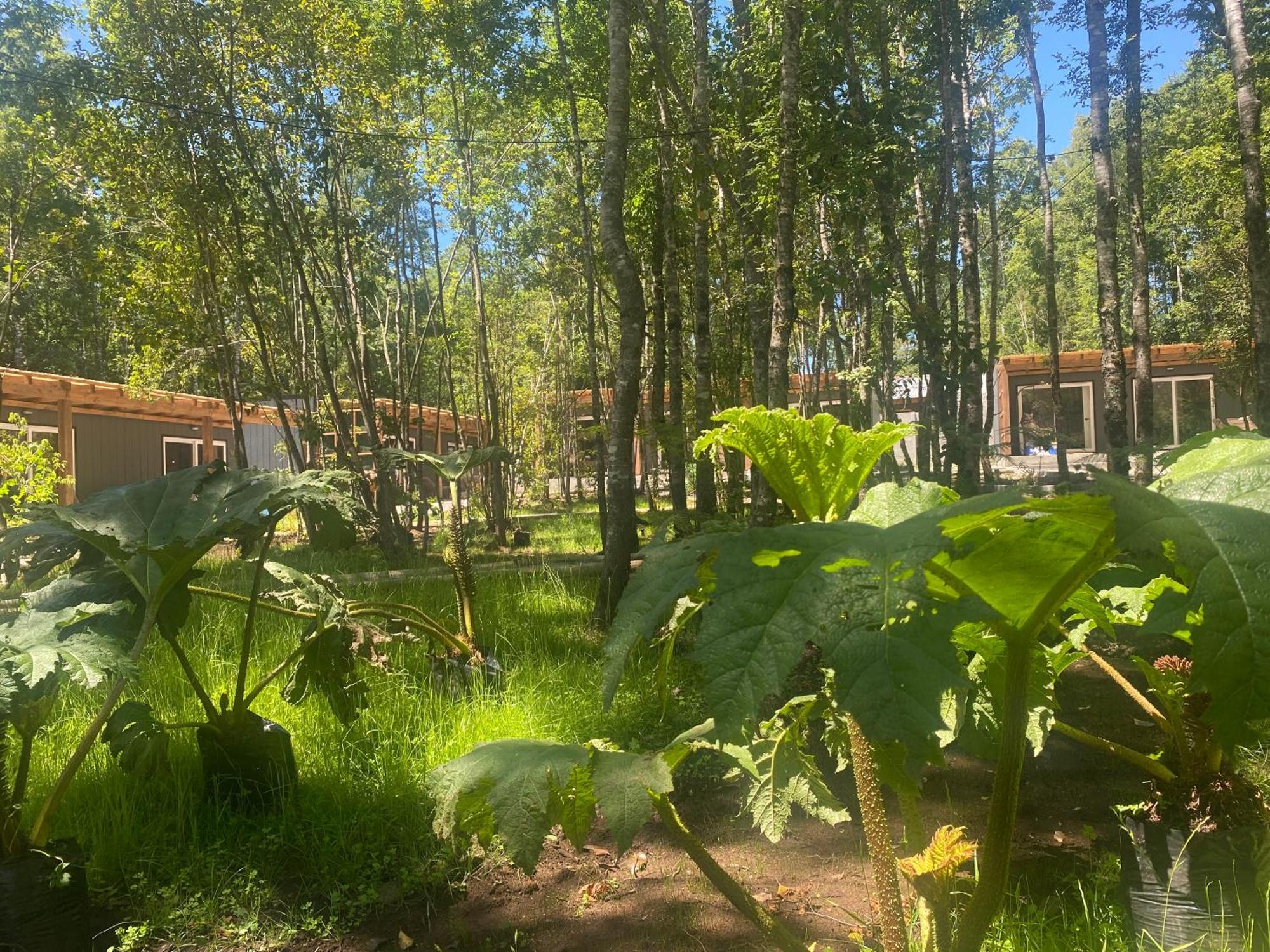 Boker Tov Pucon Hotell Exteriör bild